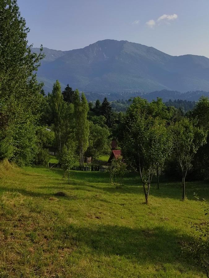 Casa Danci Centru Villa Borşa Buitenkant foto