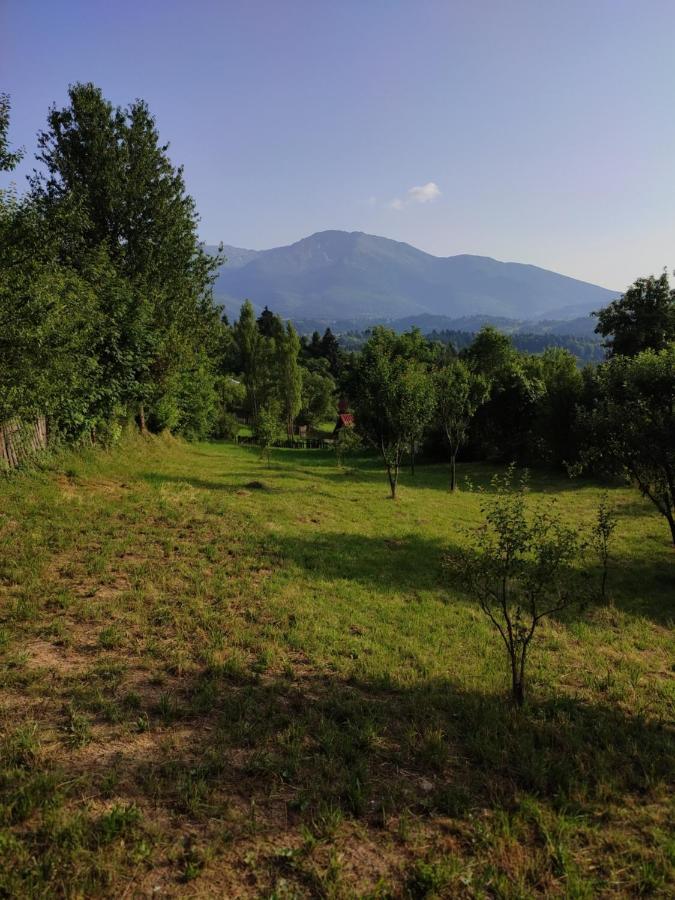 Casa Danci Centru Villa Borşa Buitenkant foto