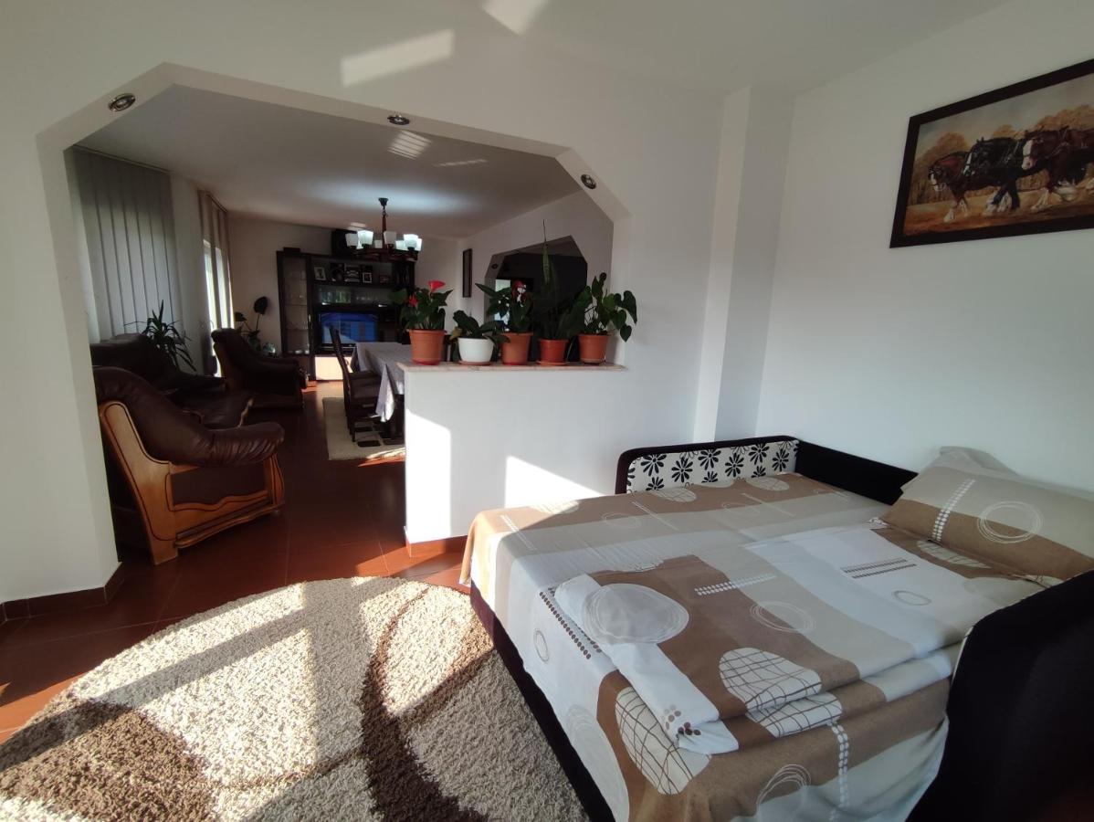 Casa Danci Centru Villa Borşa Buitenkant foto