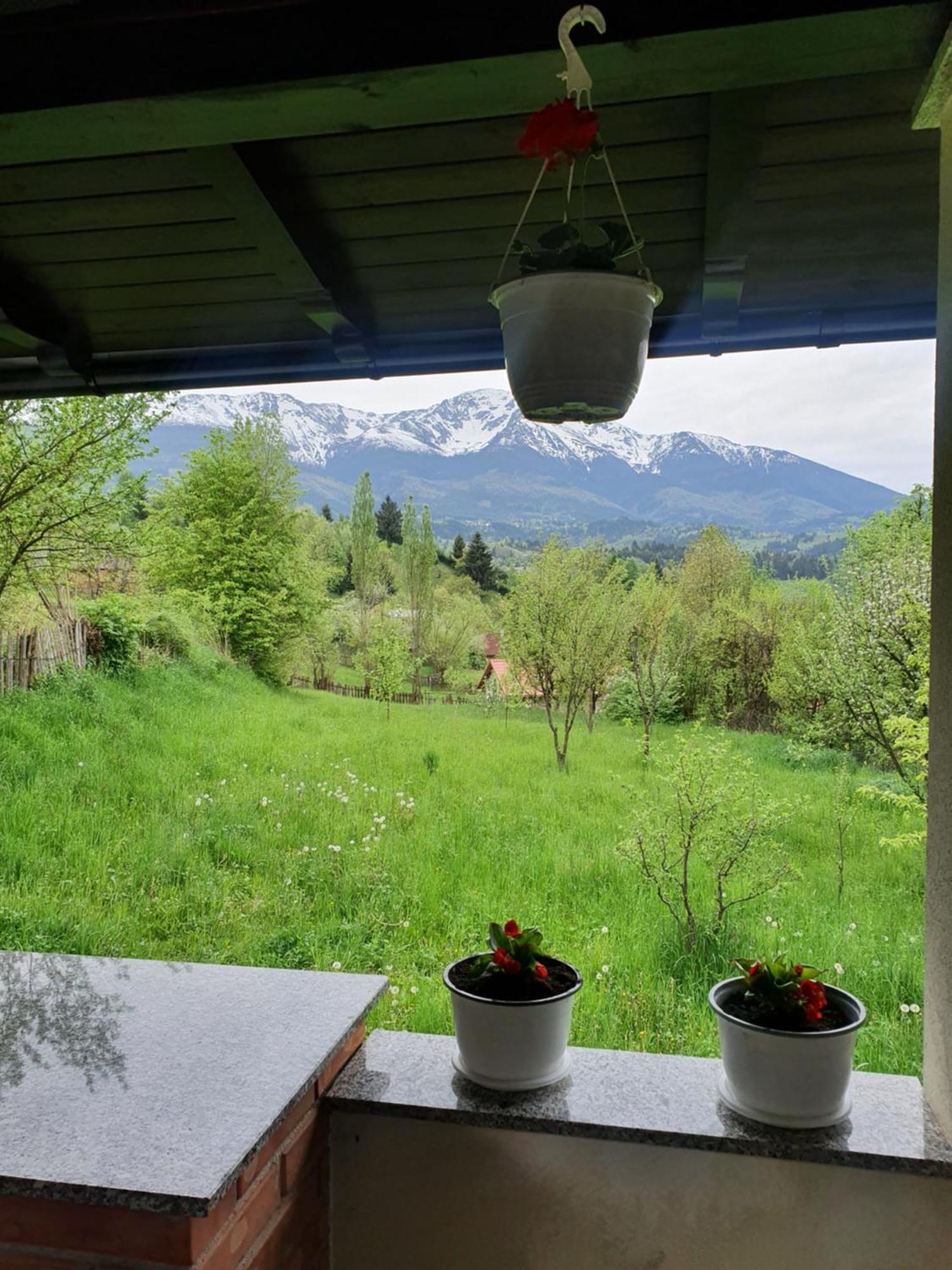 Casa Danci Centru Villa Borşa Kamer foto