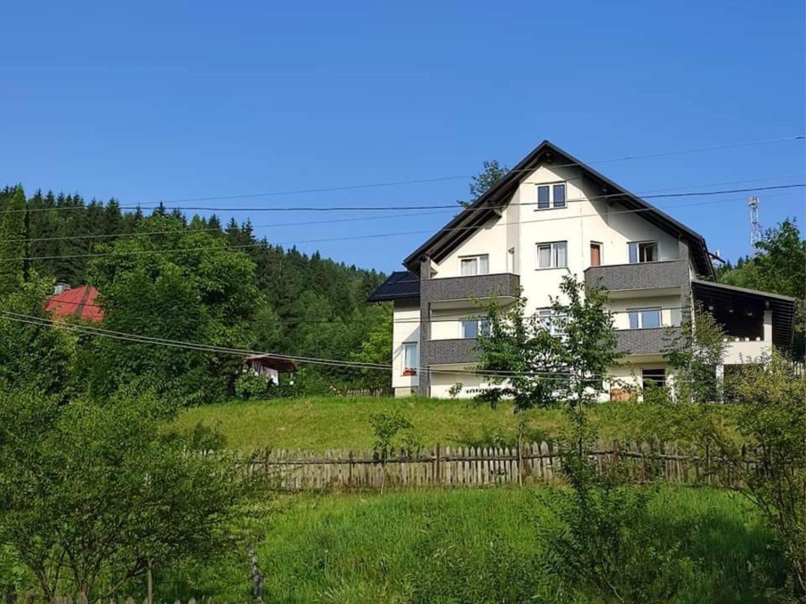 Casa Danci Centru Villa Borşa Buitenkant foto